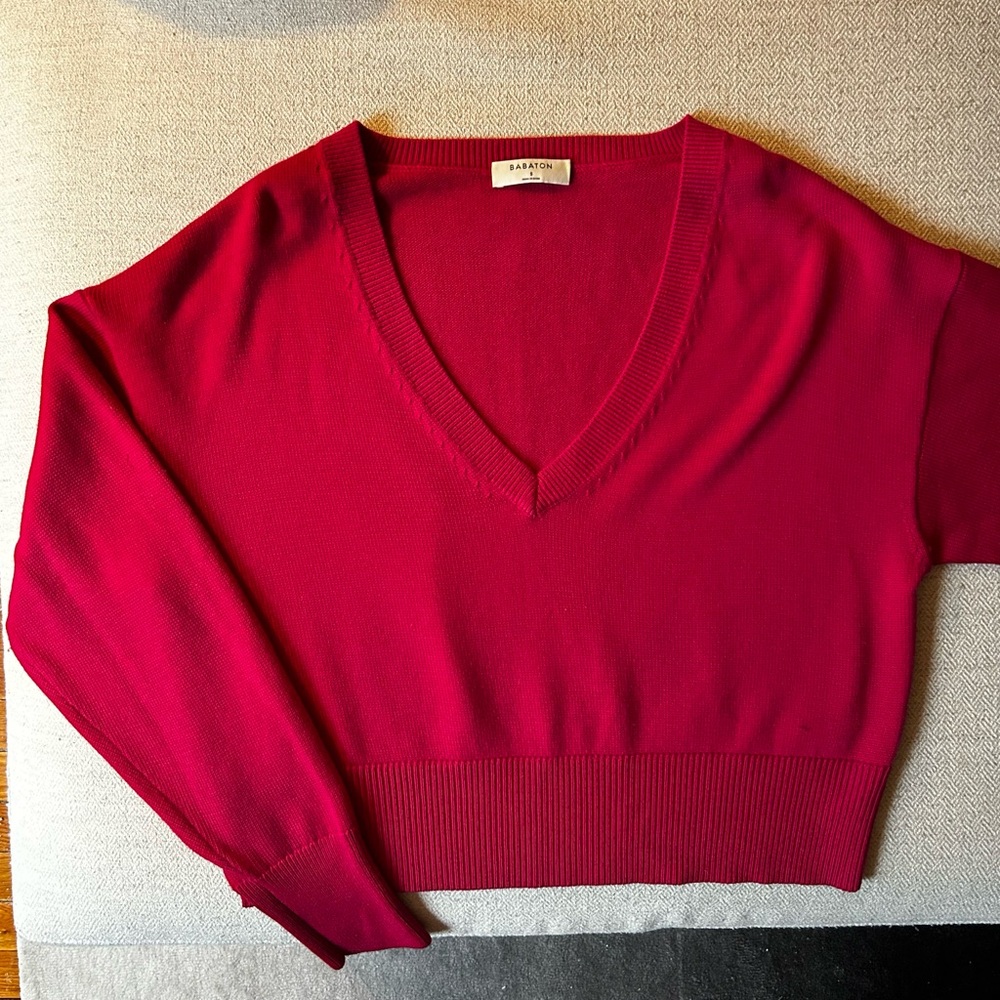 Babaton Crop Sweater
